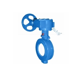 WBSX signal butterfly valve