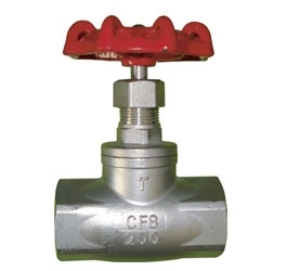 Stainless steel globe valve (J11W)
