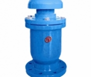 FGP4X composite exhaust valve(CARX)